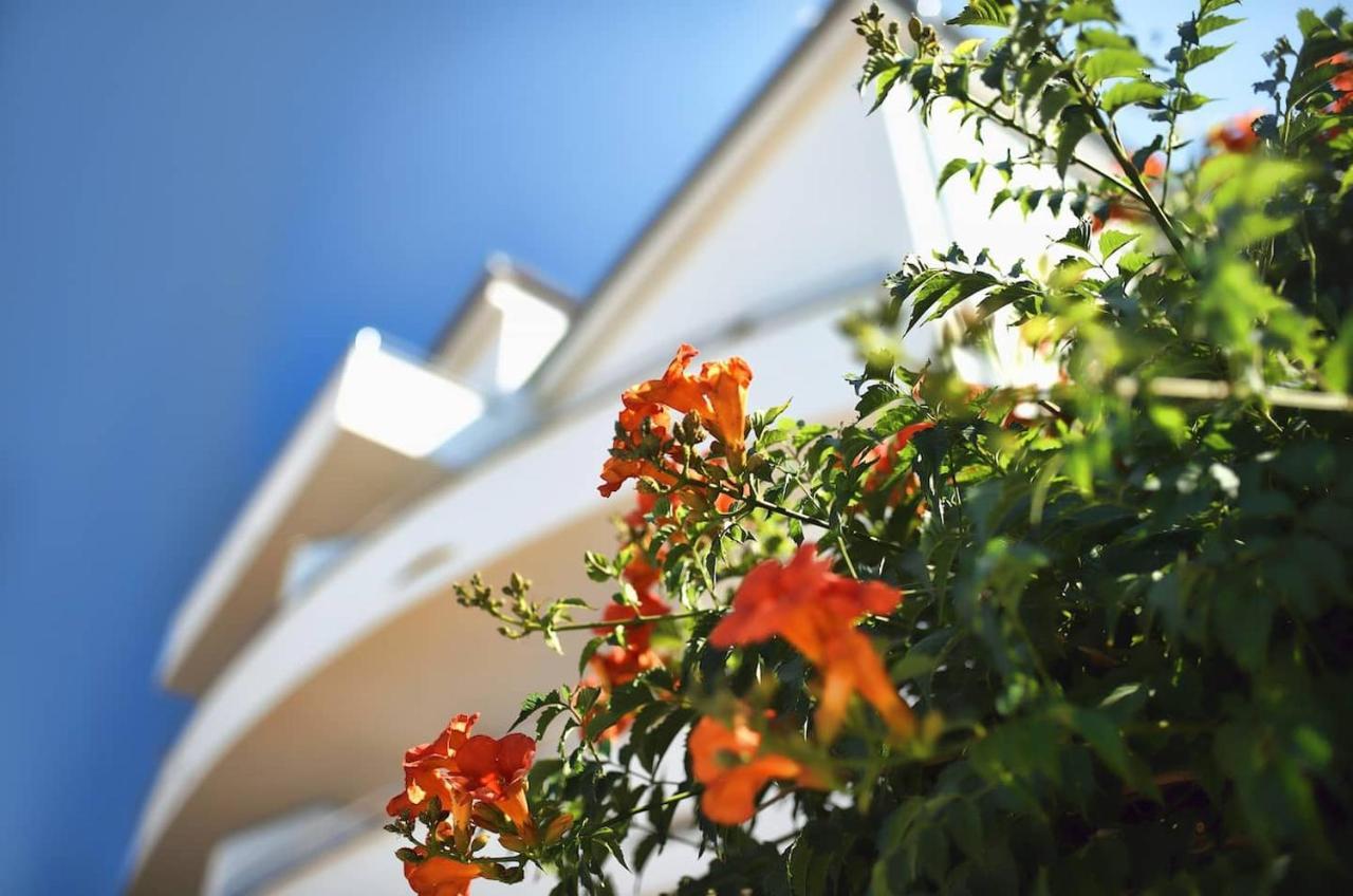 Apartment Avada Novalja Dış mekan fotoğraf